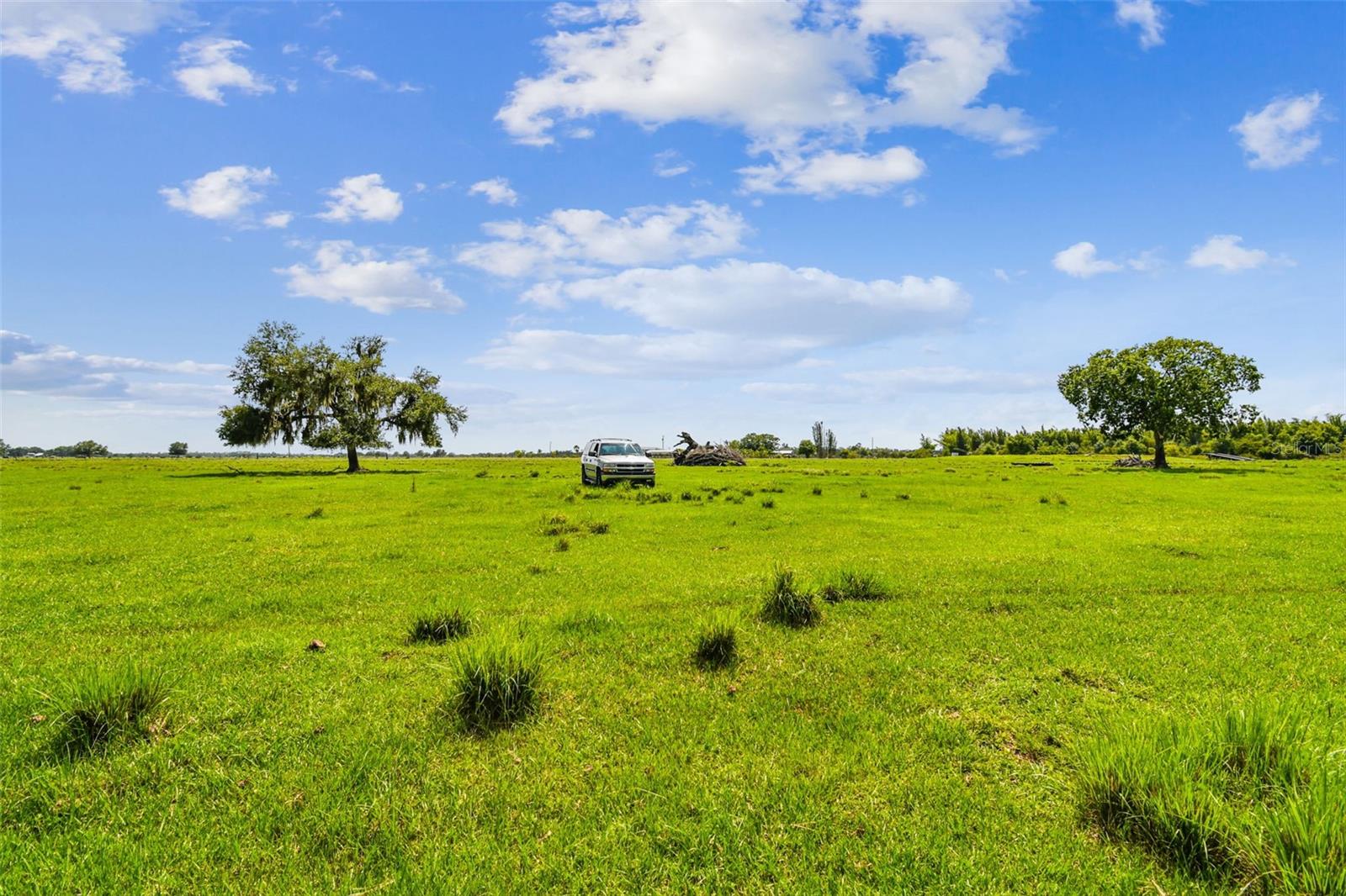 35651 SINGLETARY RD, MYAKKA CITY, FL, 34251