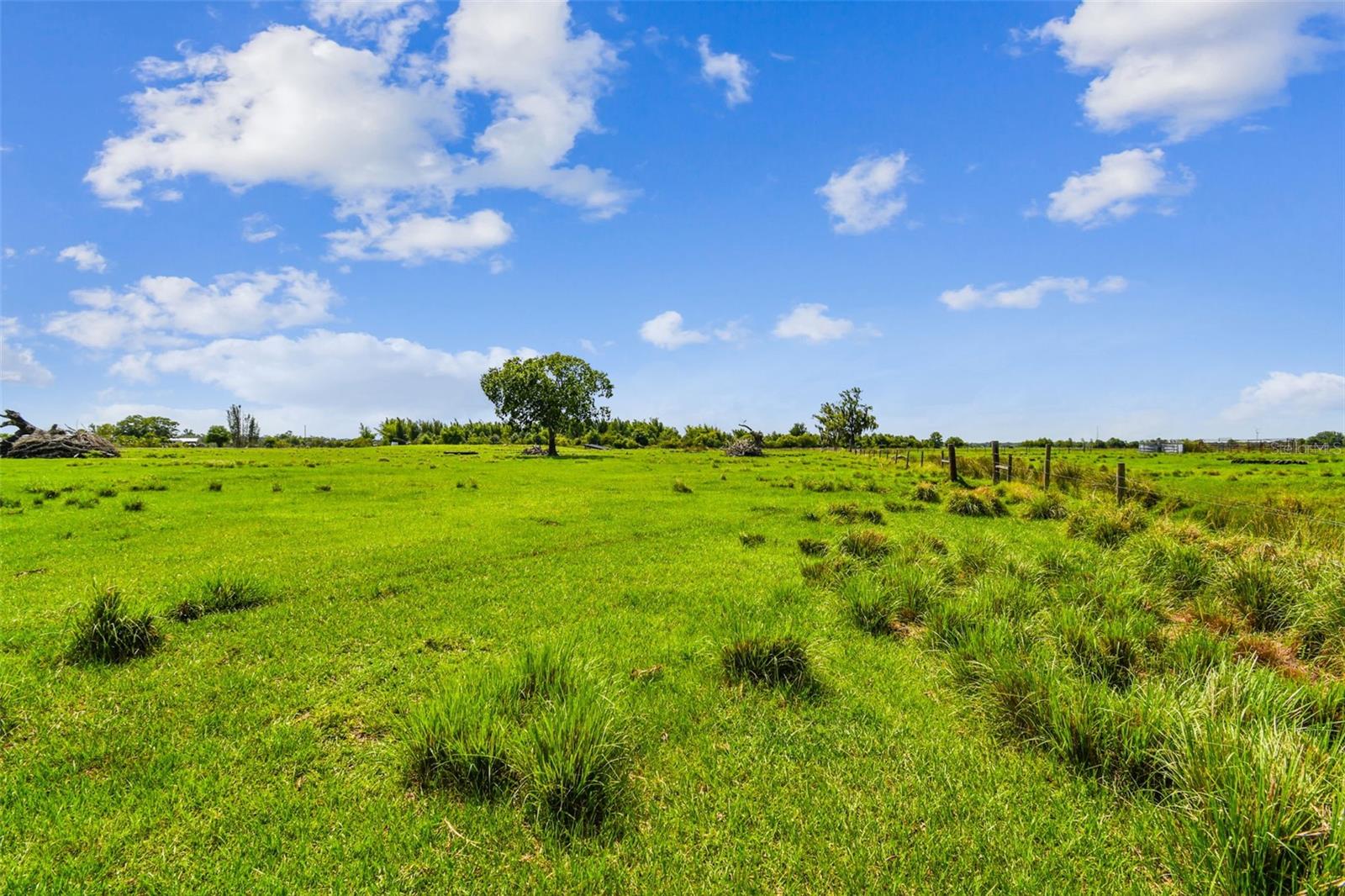 35651 SINGLETARY RD, MYAKKA CITY, FL, 34251