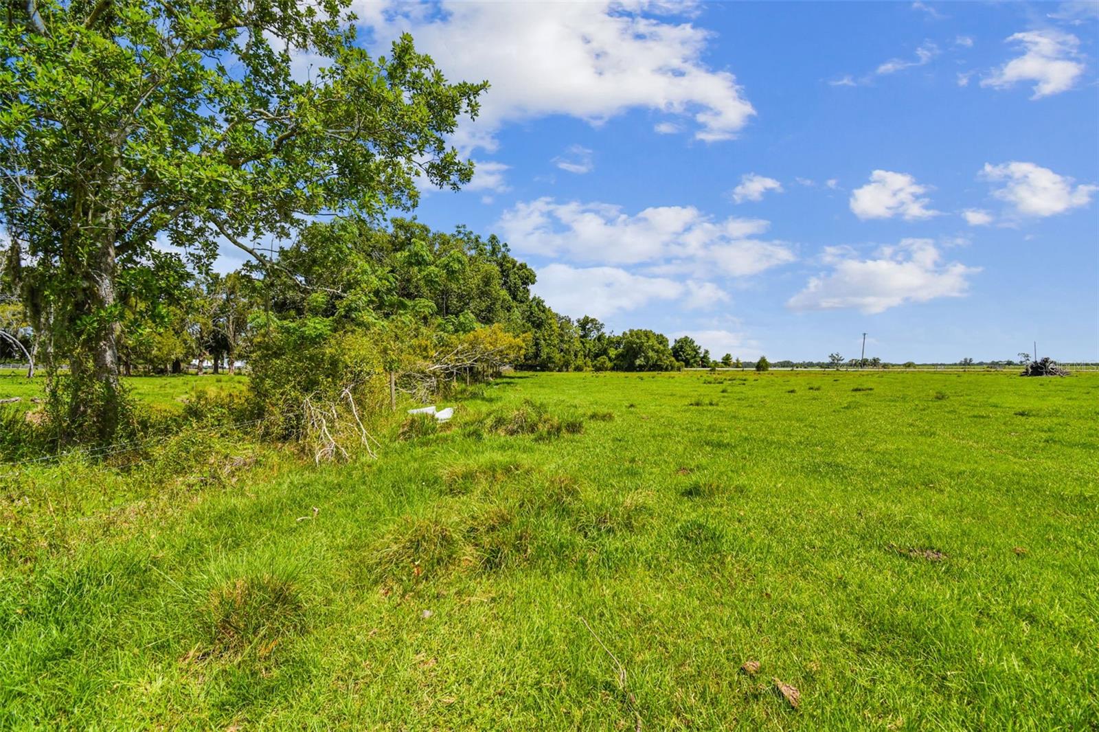 35651 SINGLETARY RD, MYAKKA CITY, FL, 34251