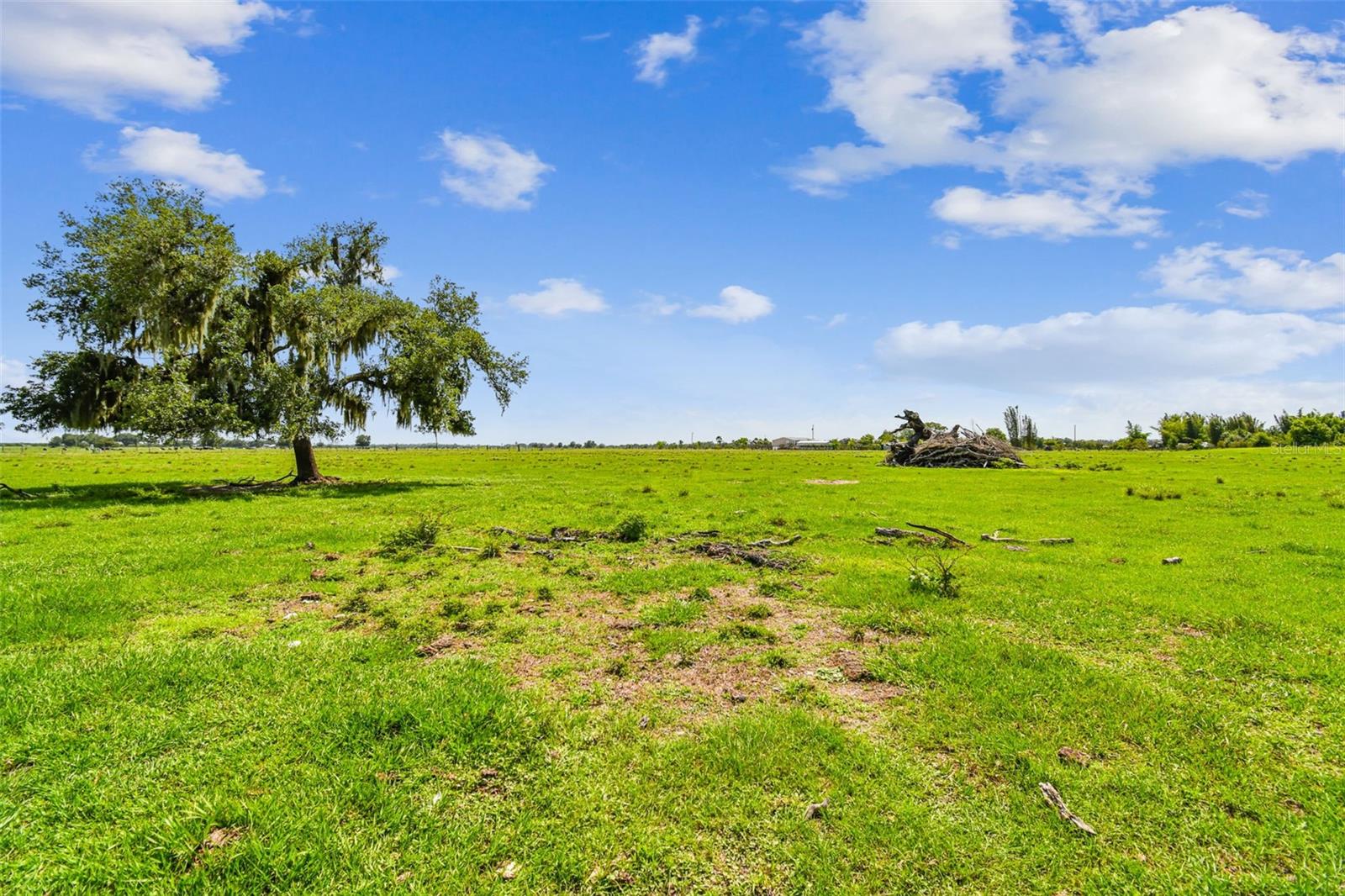 35651 SINGLETARY RD, MYAKKA CITY, FL, 34251