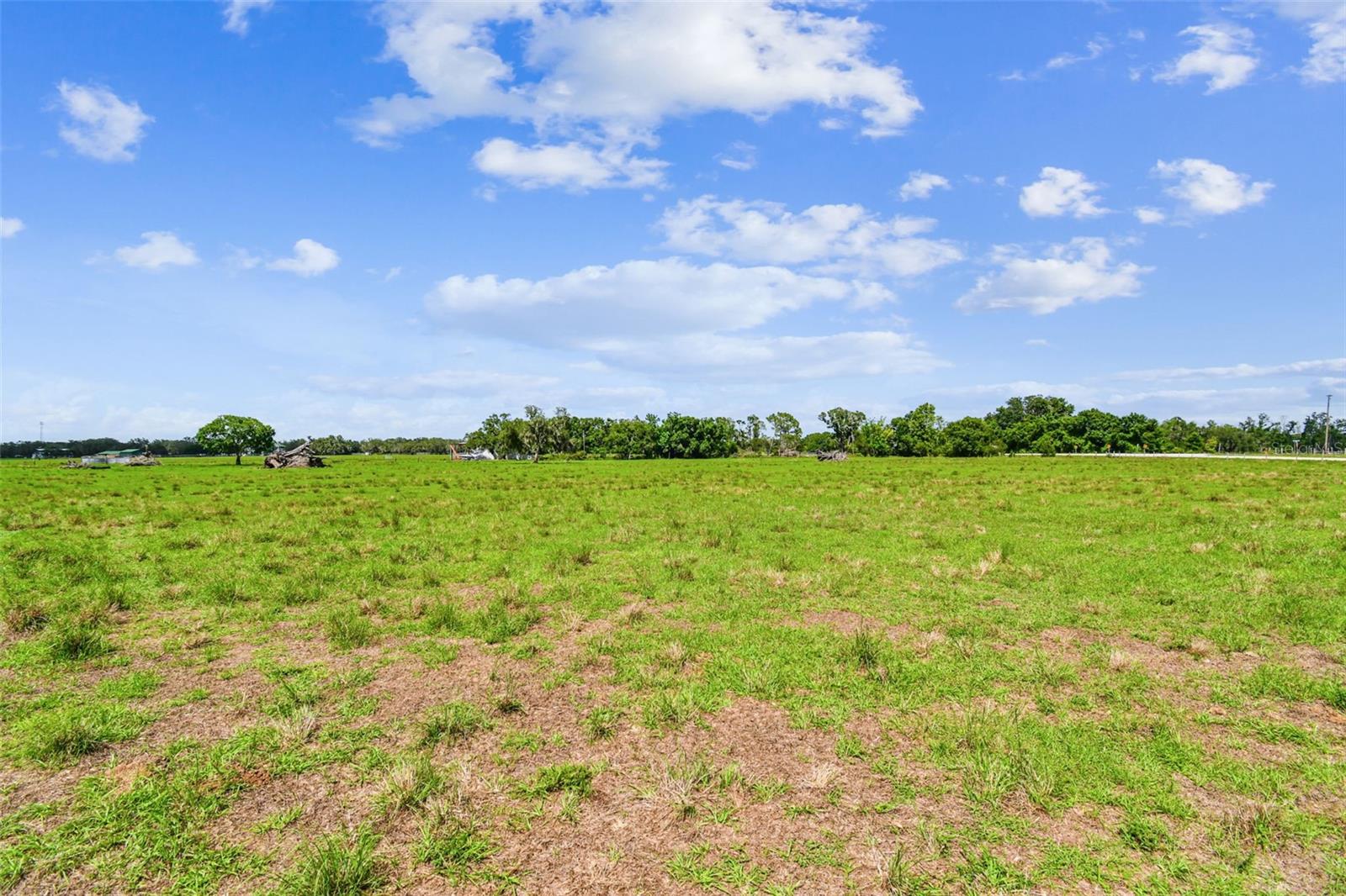 35651 SINGLETARY RD, MYAKKA CITY, FL, 34251