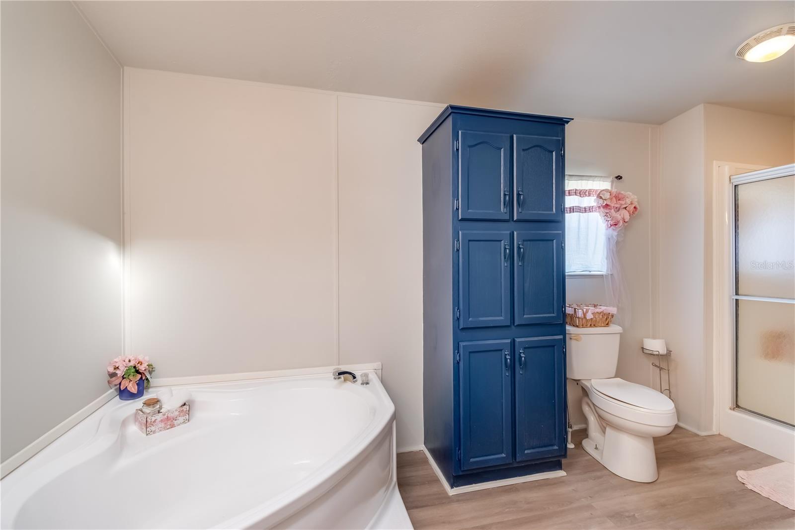 13122 SE HIGHWAY 42, WEIRSDALE, FL, 32195