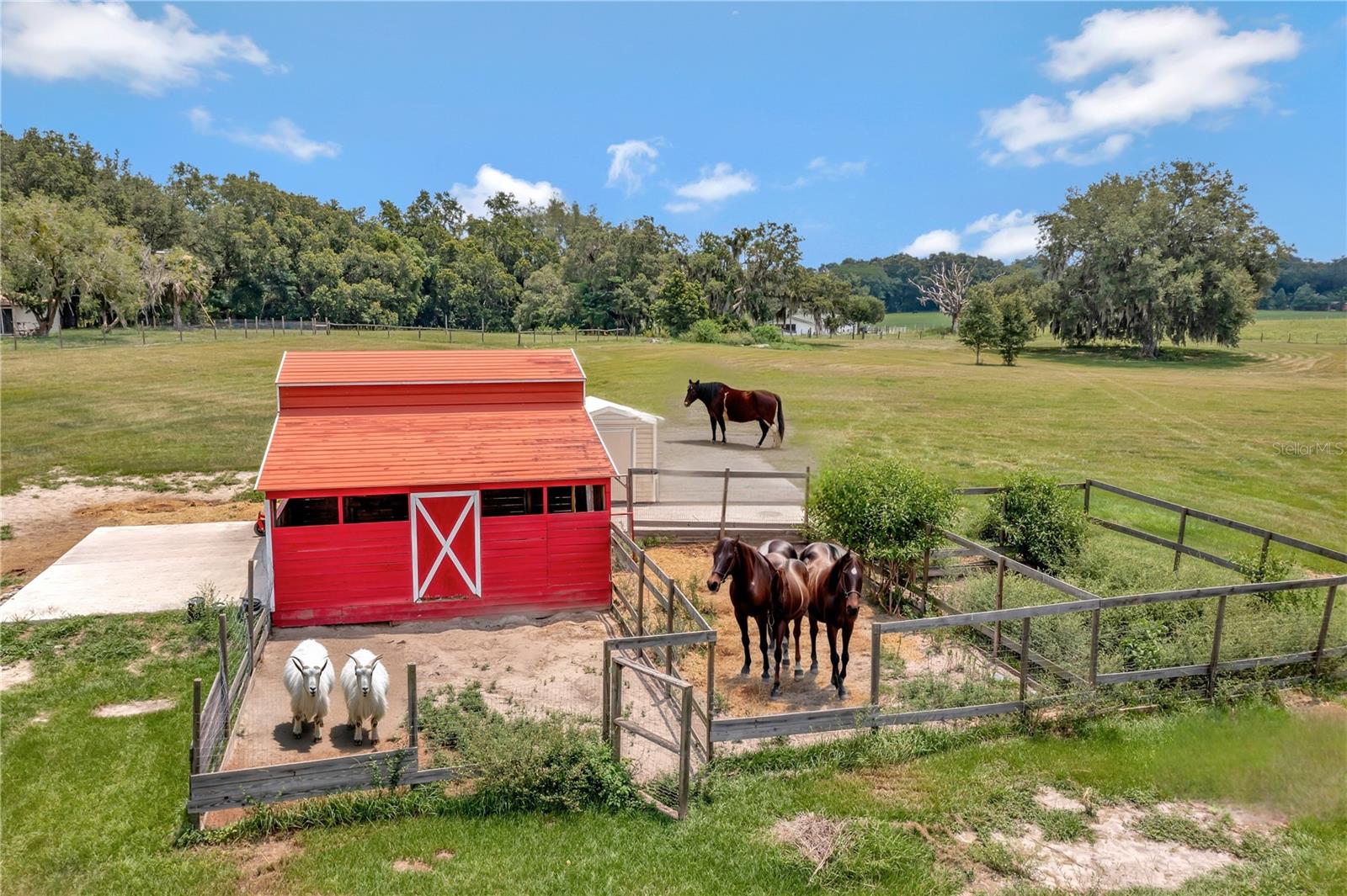 13122 SE HIGHWAY 42, WEIRSDALE, FL, 32195