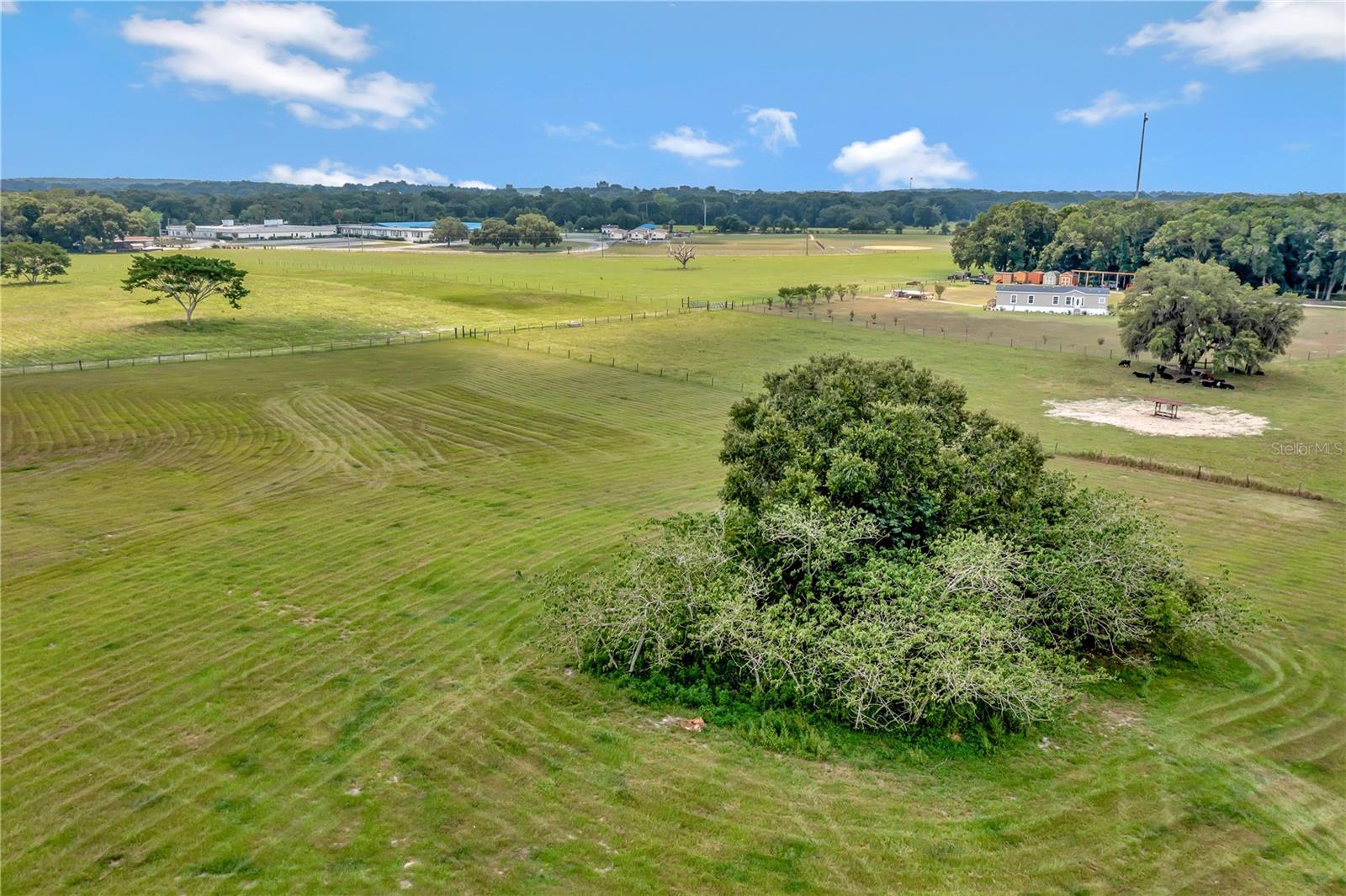 13122 SE HIGHWAY 42, WEIRSDALE, FL, 32195
