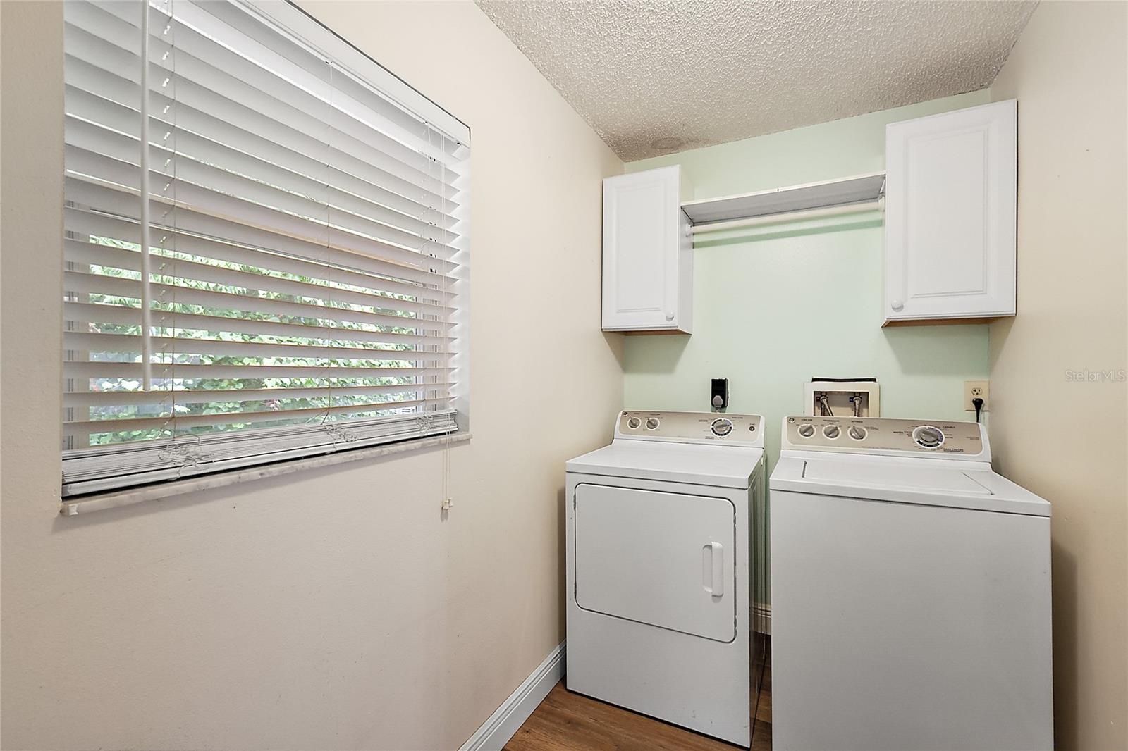 3940 GRIFFIN VIEW DR, LADY LAKE, FL, 32159