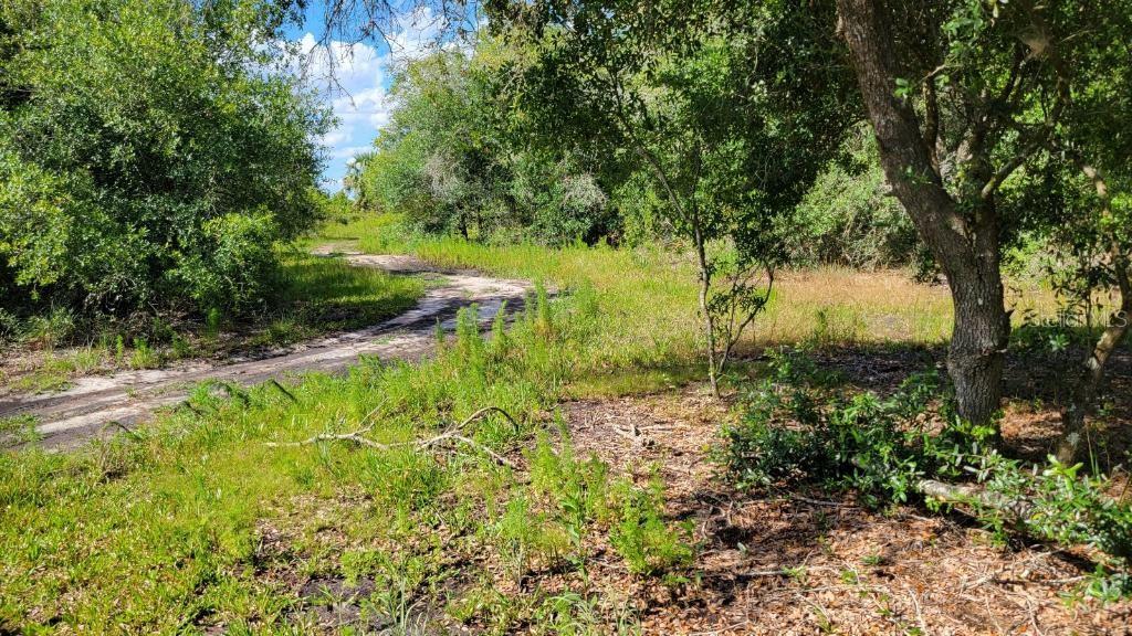 NW 300TH ST, OKEECHOBEE, FL, 34972