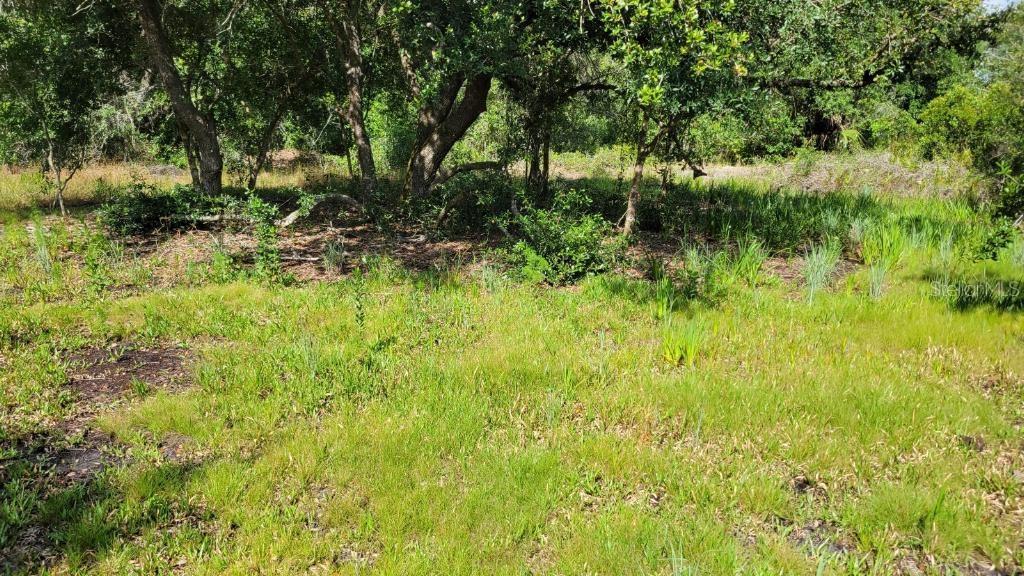 NW 300TH ST, OKEECHOBEE, FL, 34972