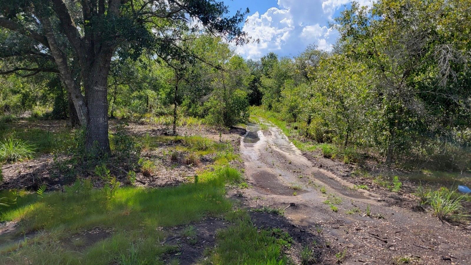 NW 300TH ST, OKEECHOBEE, FL, 34972