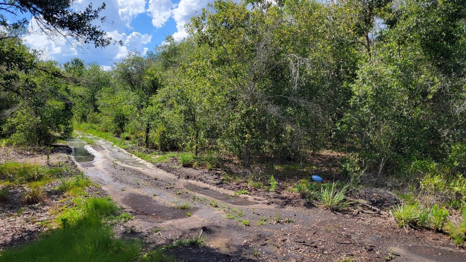 NW 300TH ST, OKEECHOBEE, FL, 34972