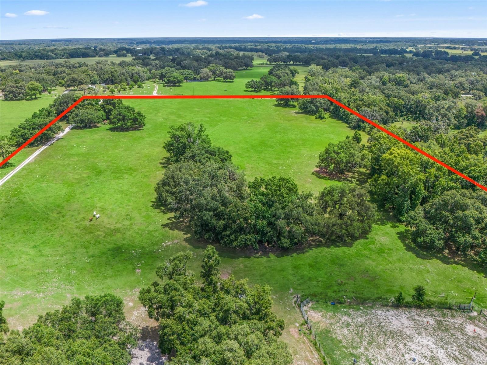 2027 CR 232, WILDWOOD, FL, 34785