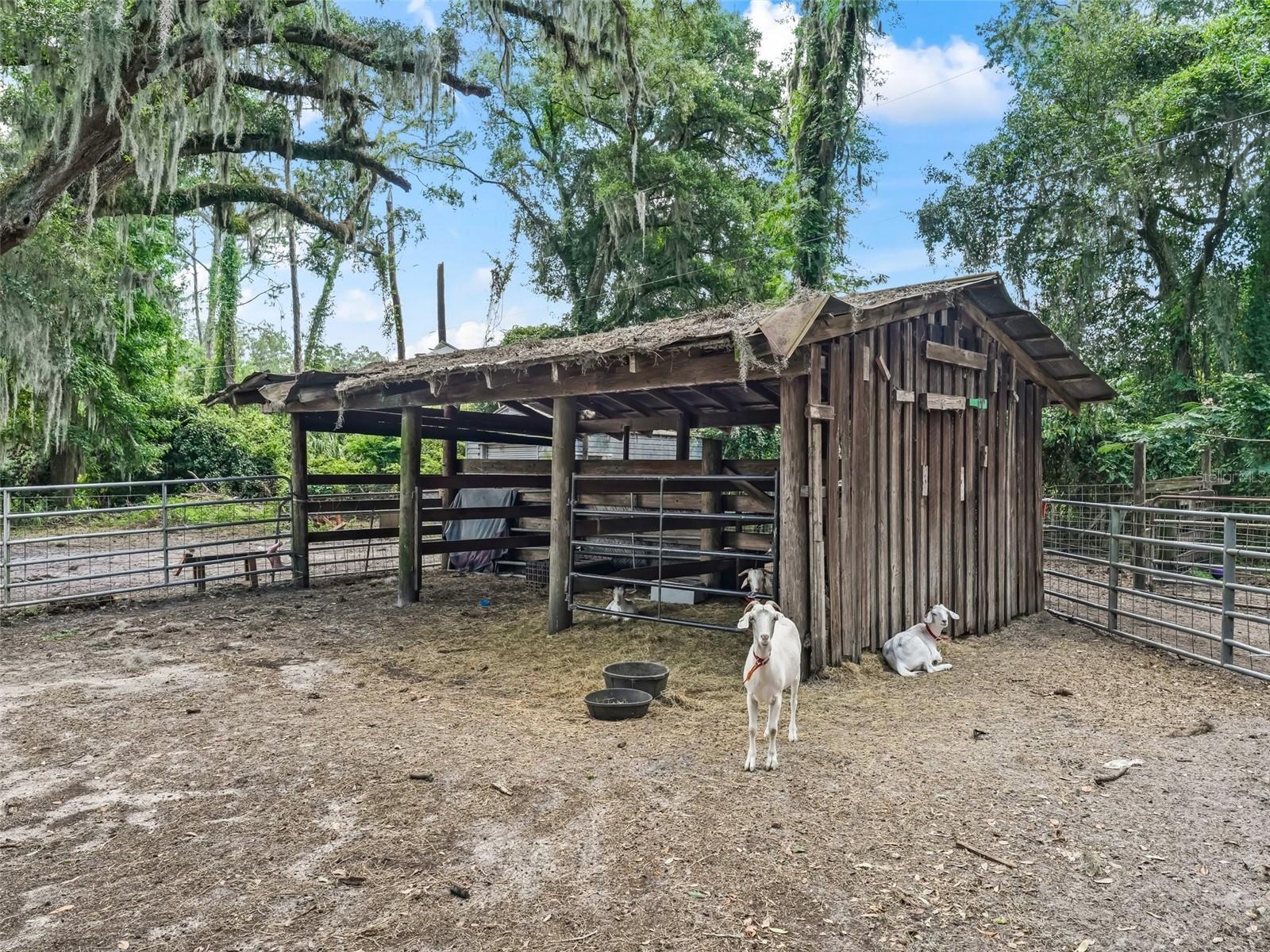 2027 CR 232, WILDWOOD, FL, 34785