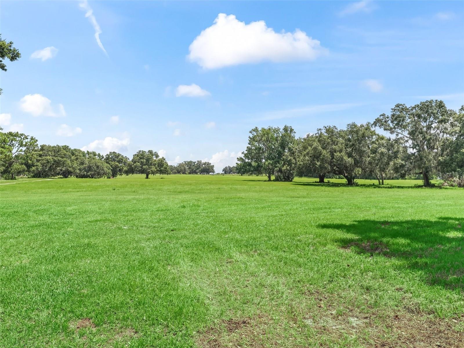 2027 CR 232, WILDWOOD, FL, 34785