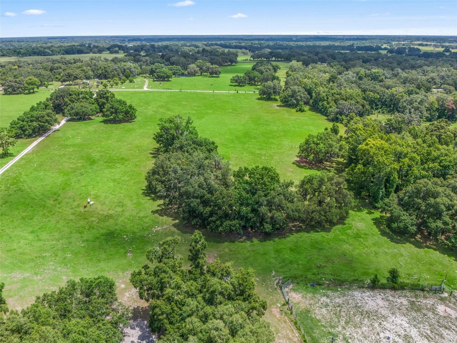 2027 CR 232, WILDWOOD, FL, 34785