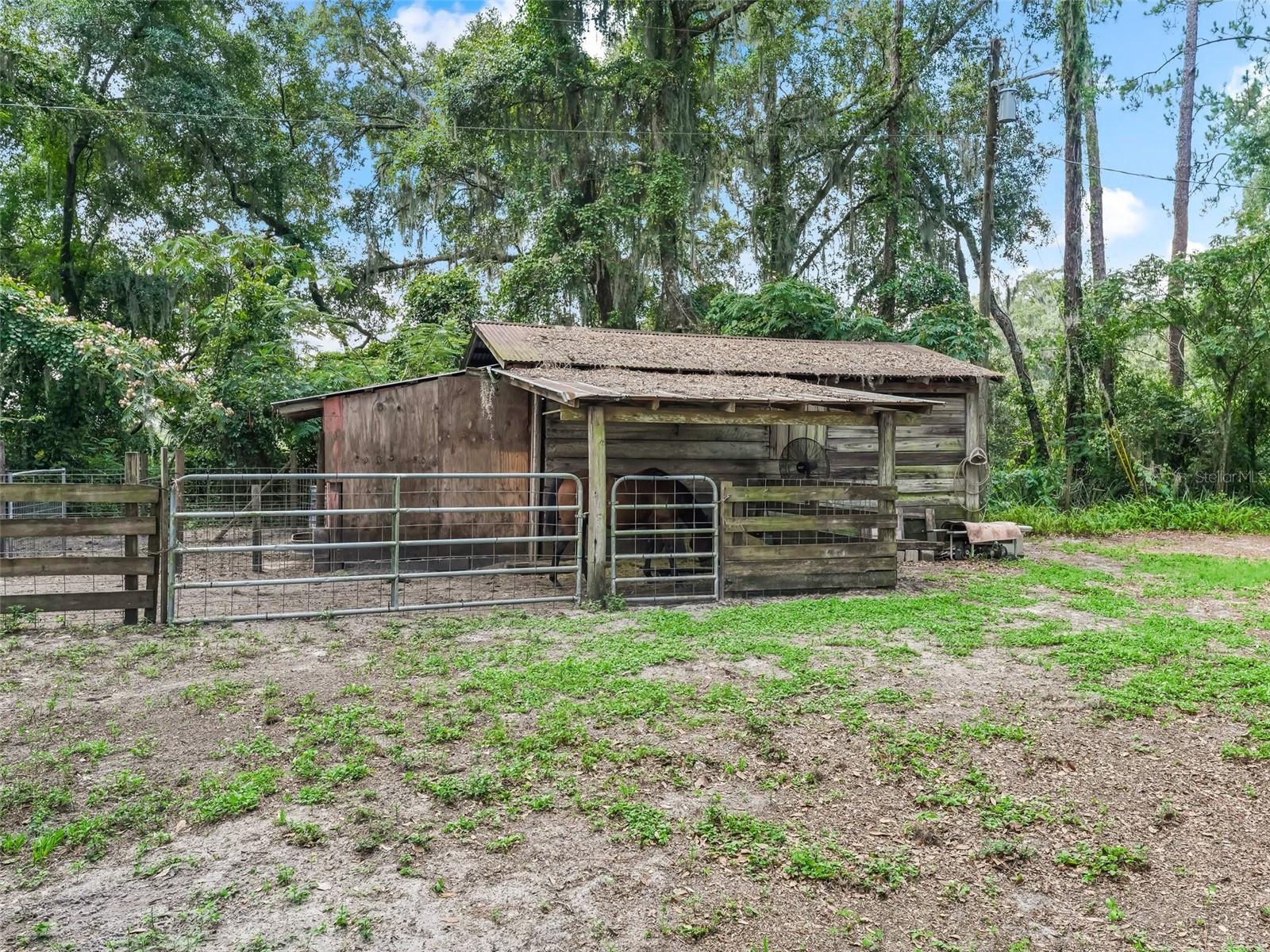 2027 CR 232, WILDWOOD, FL, 34785