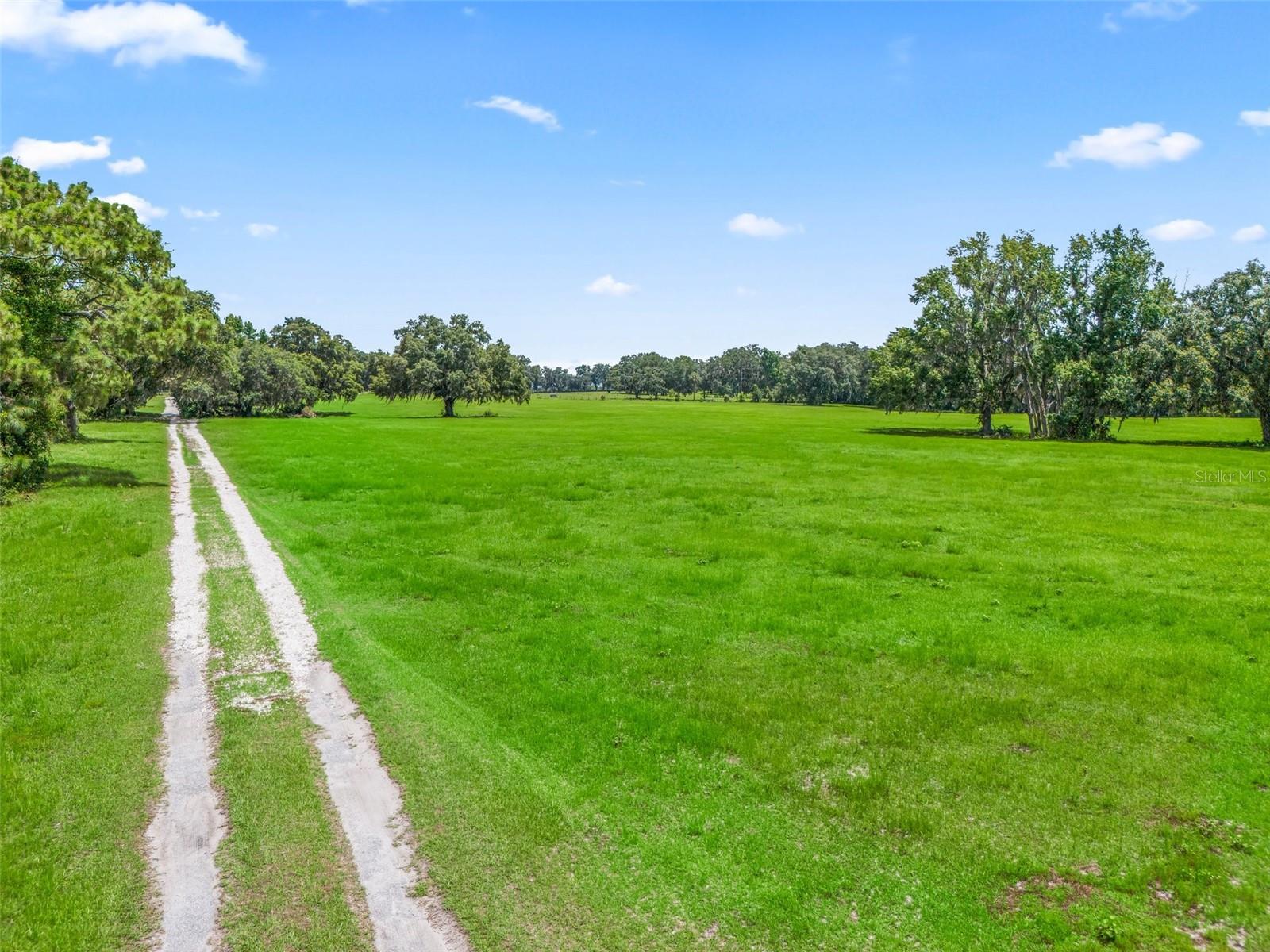 2027 CR 232, WILDWOOD, FL, 34785