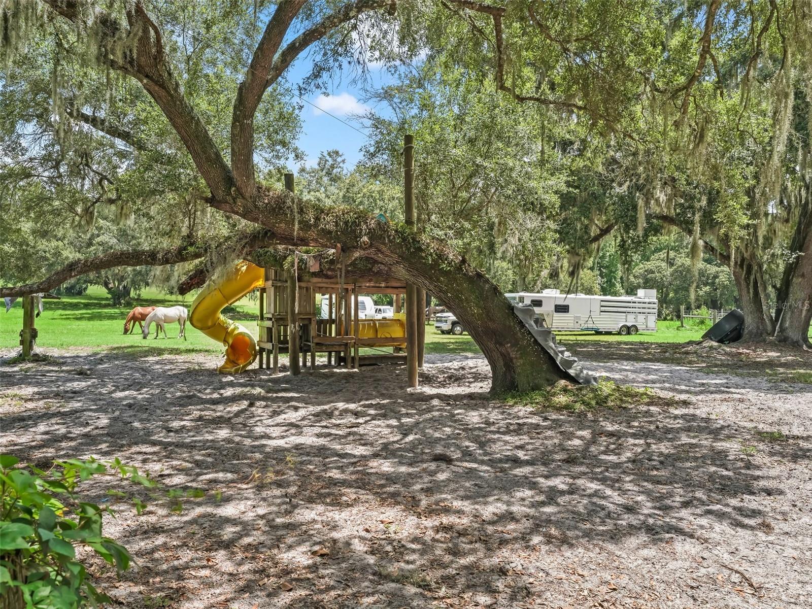 2027 CR 232, WILDWOOD, FL, 34785
