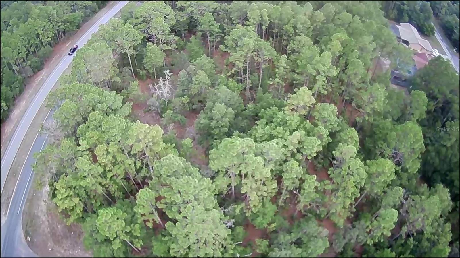 9223 N BERTIN DR, CITRUS SPRINGS, FL, 34434