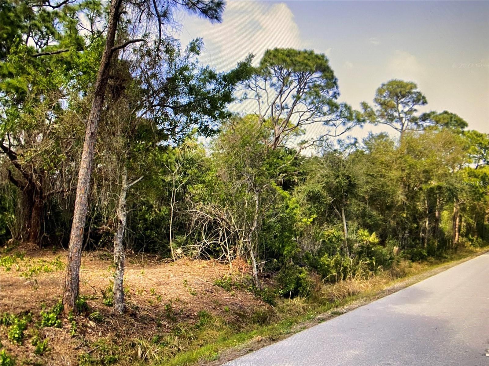 11233 PINETRAIL RD, PUNTA GORDA, FL, 33955