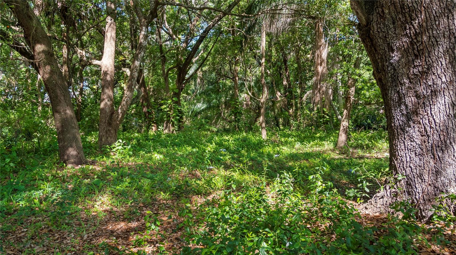 1500 N HOAGLAND BLVD, KISSIMMEE, FL, 34741