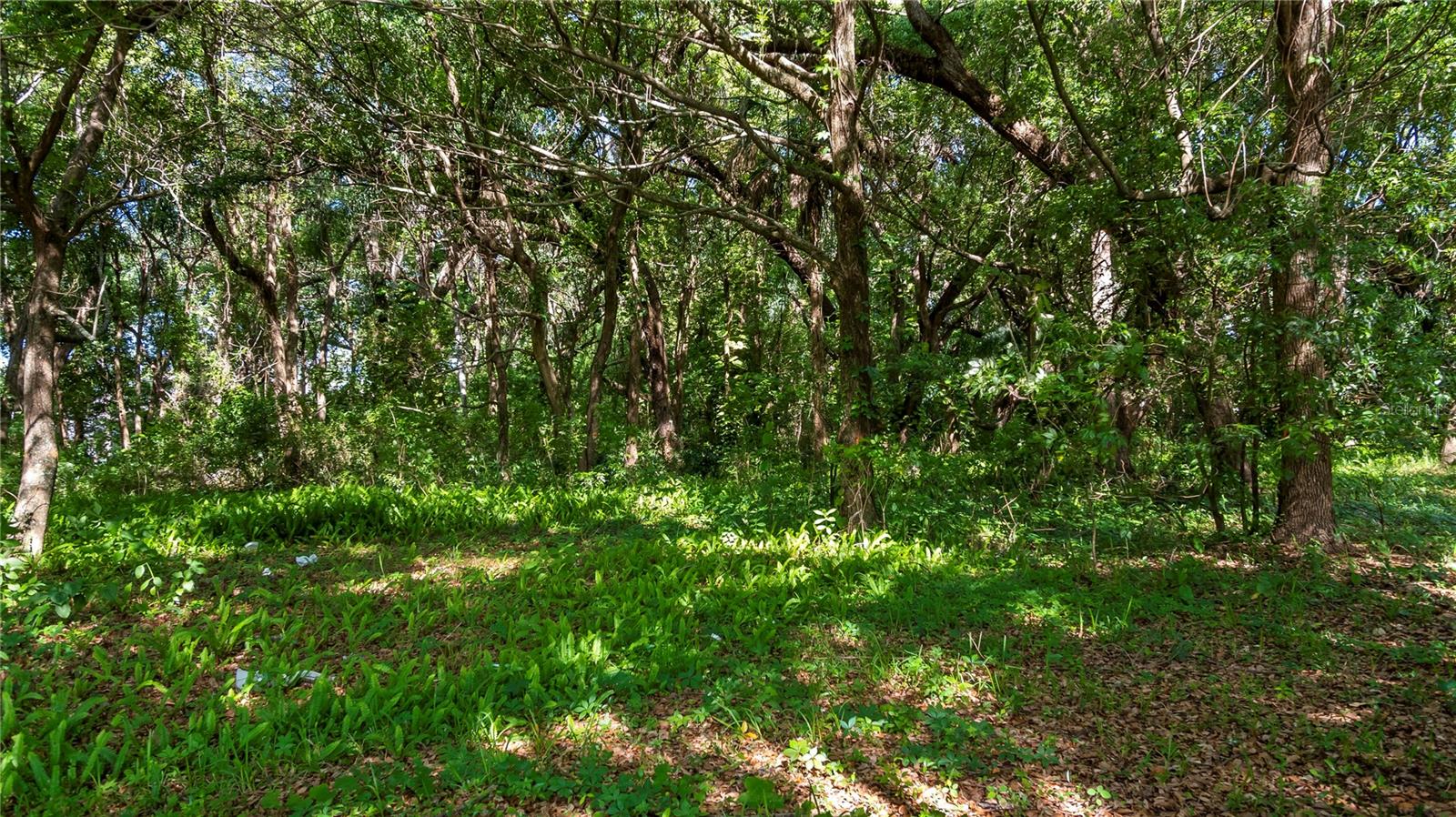 1500 N HOAGLAND BLVD, KISSIMMEE, FL, 34741