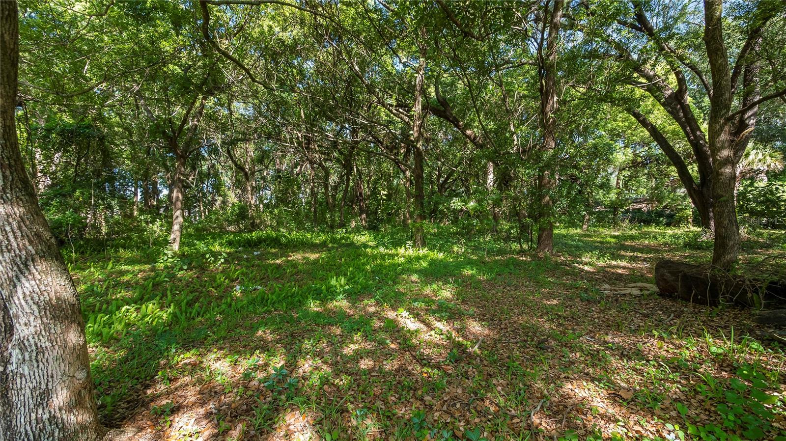 1500 N HOAGLAND BLVD, KISSIMMEE, FL, 34741