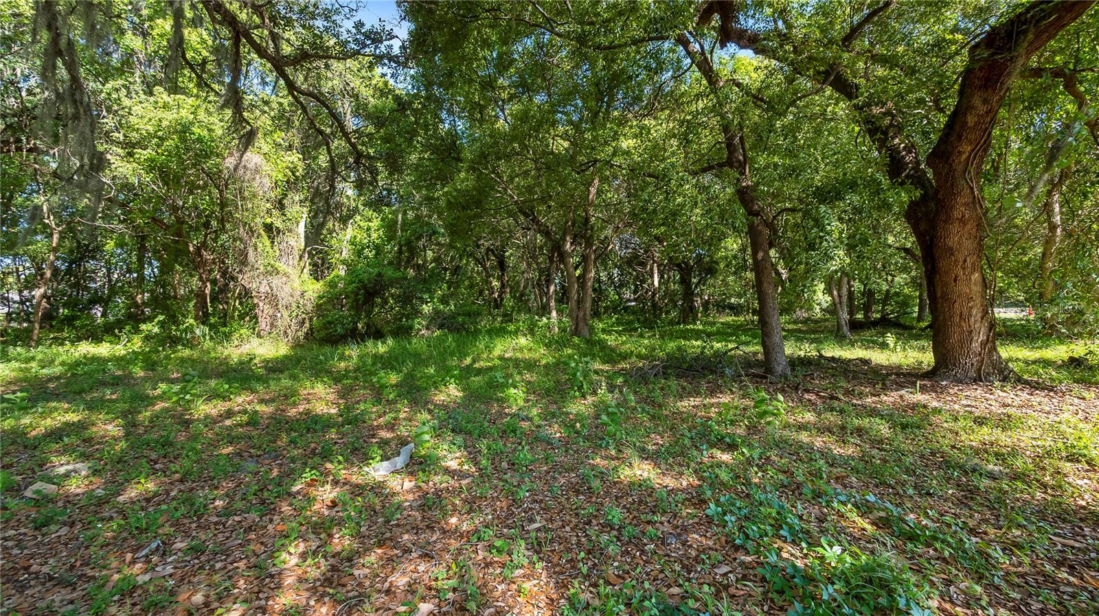 1500 N HOAGLAND BLVD, KISSIMMEE, FL, 34741