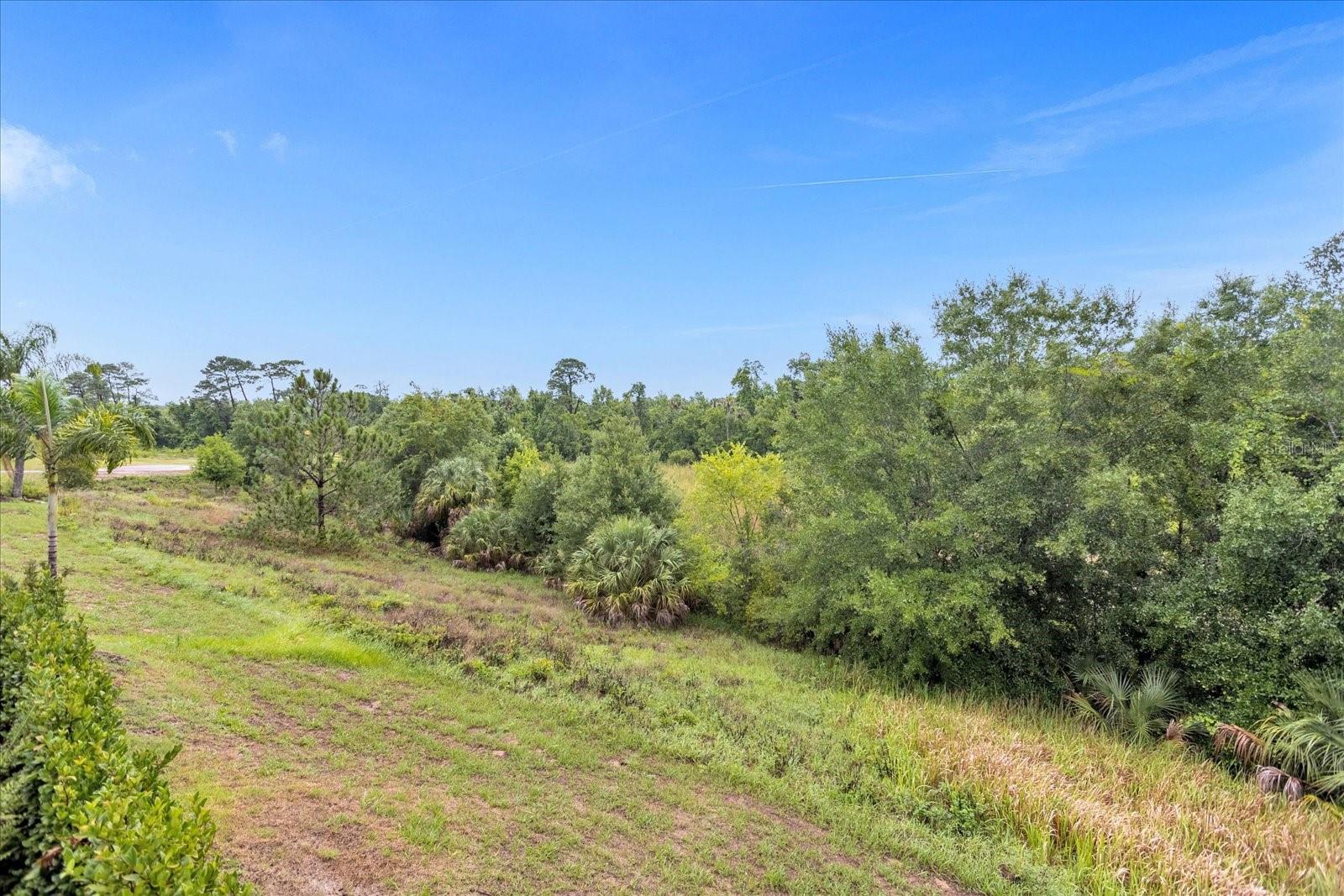 494 MUIRFIELD LOOP, REUNION, FL, 34747