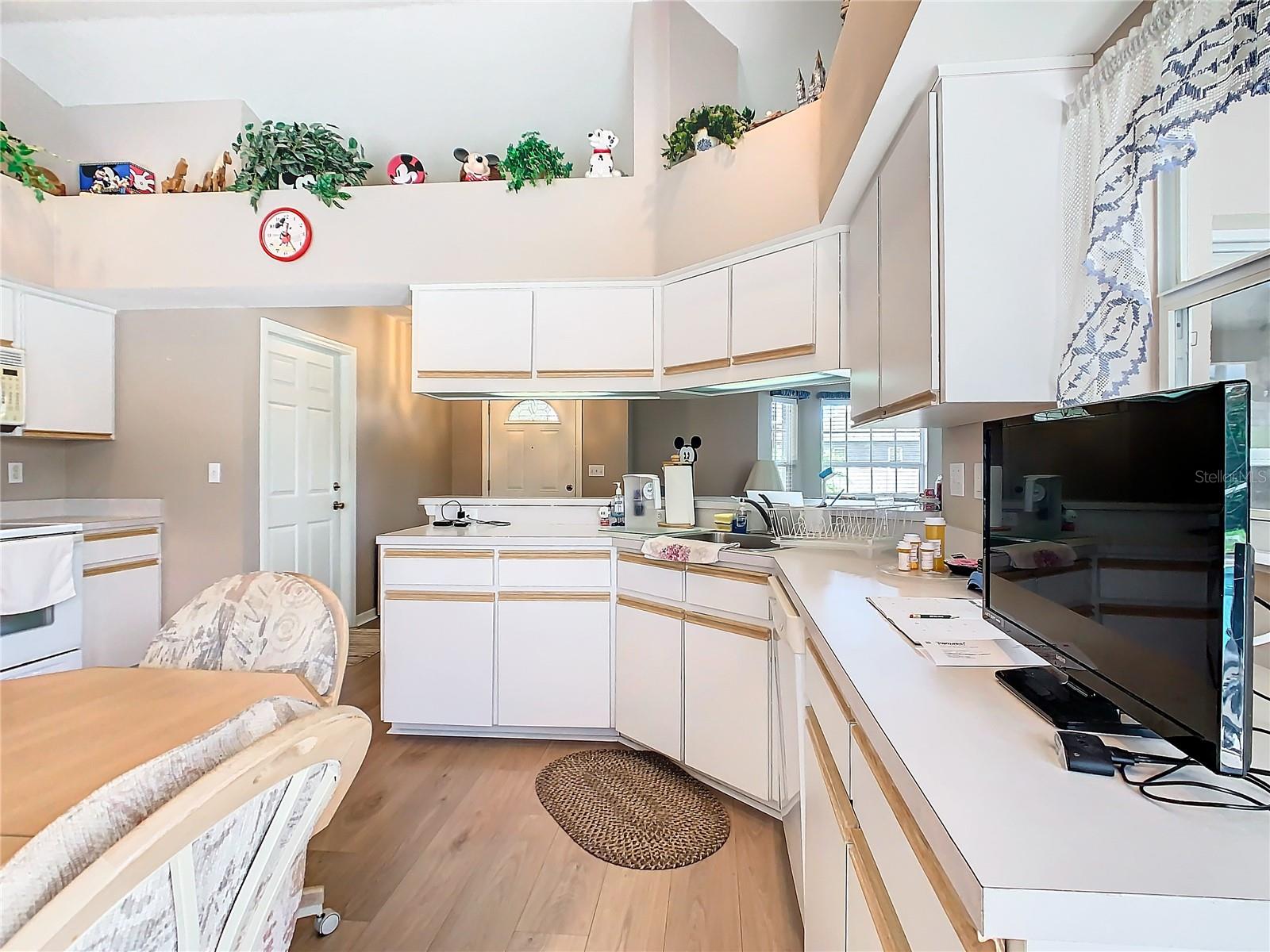 1029 VIA BIANCA DR, DAVENPORT, FL, 33896
