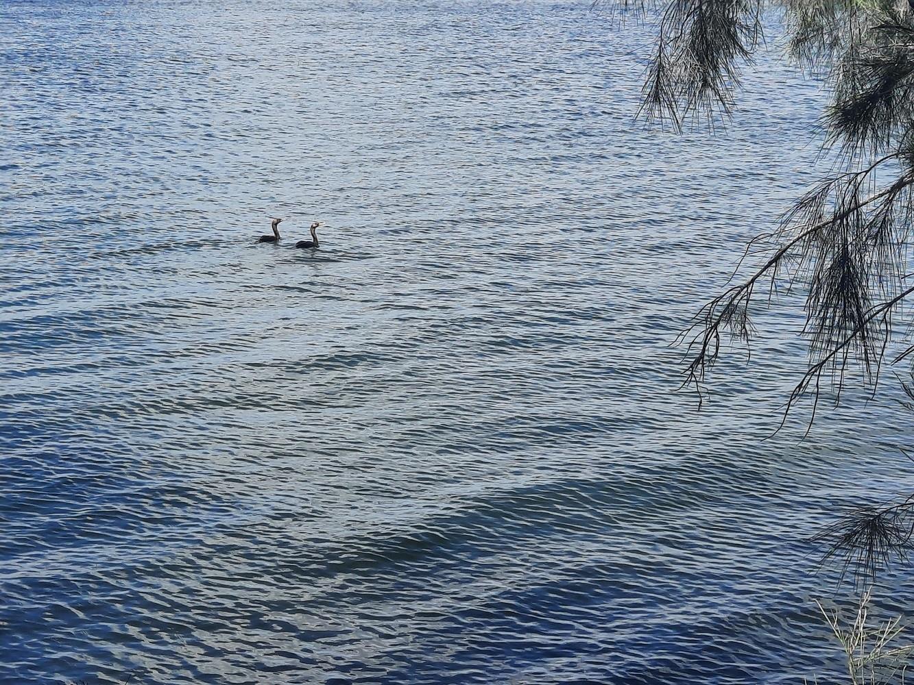 6009 SEA RANCH DR #206, HUDSON, FL, 34667