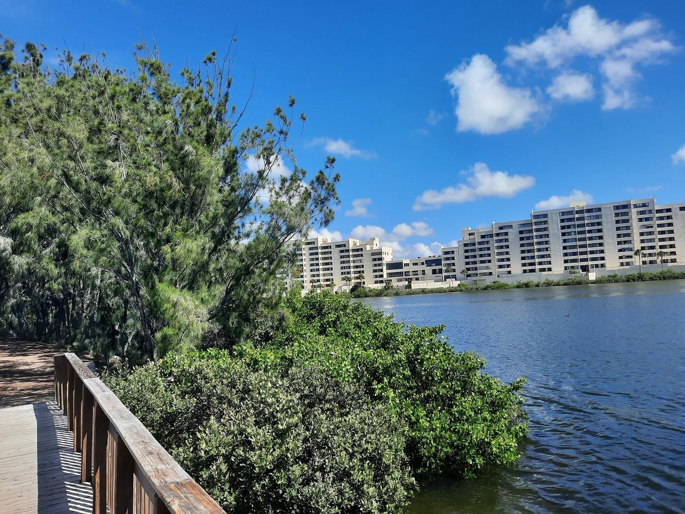 6009 SEA RANCH DR #206, HUDSON, FL, 34667