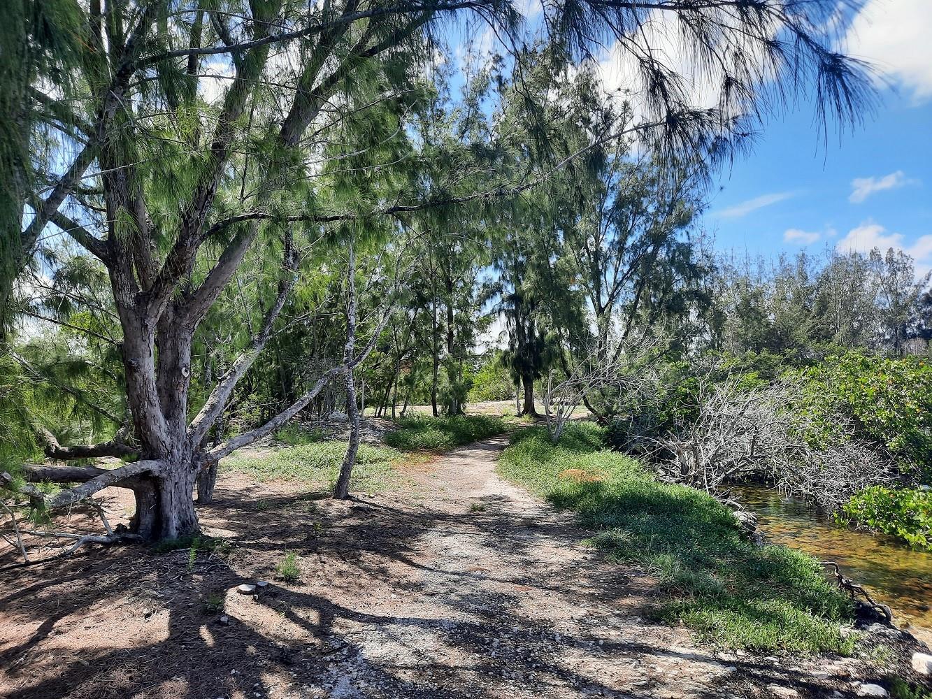 6009 SEA RANCH DR #206, HUDSON, FL, 34667