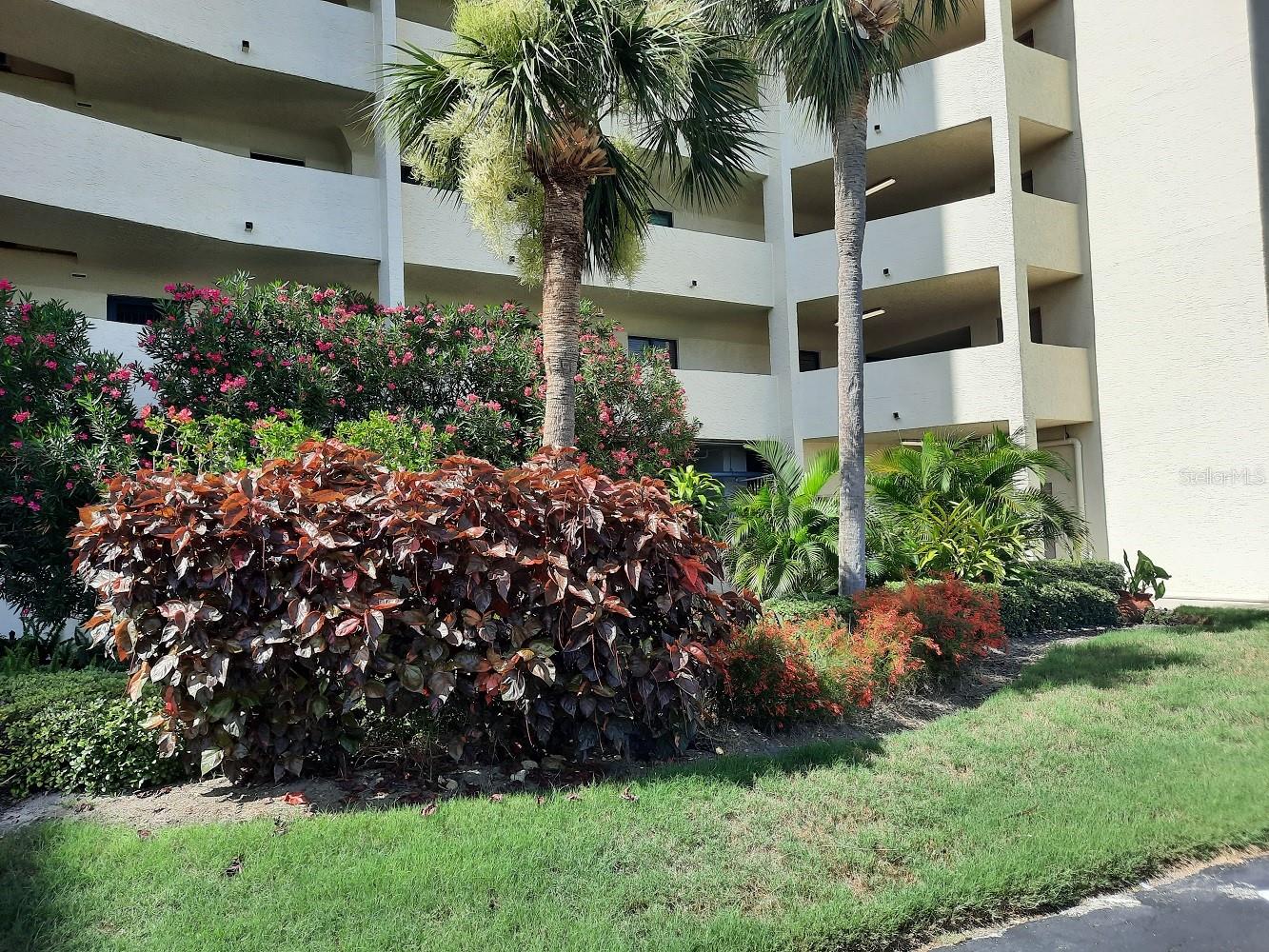 6009 SEA RANCH DR #206, HUDSON, FL, 34667