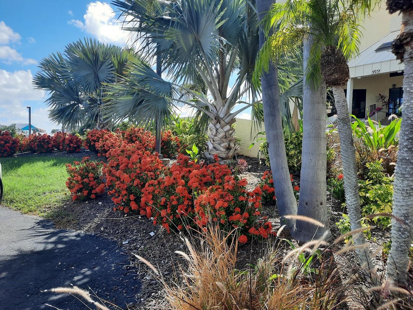 6009 SEA RANCH DR #206, HUDSON, FL, 34667