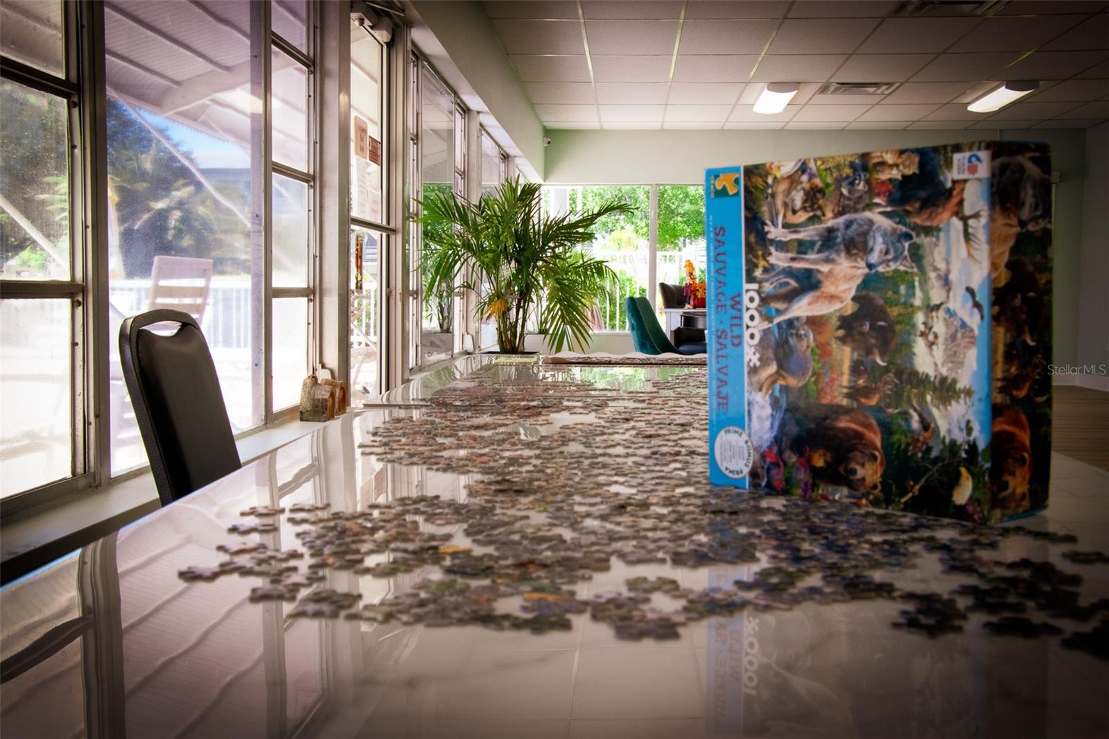 5915 18TH ST N #15, ST PETERSBURG, FL, 33714