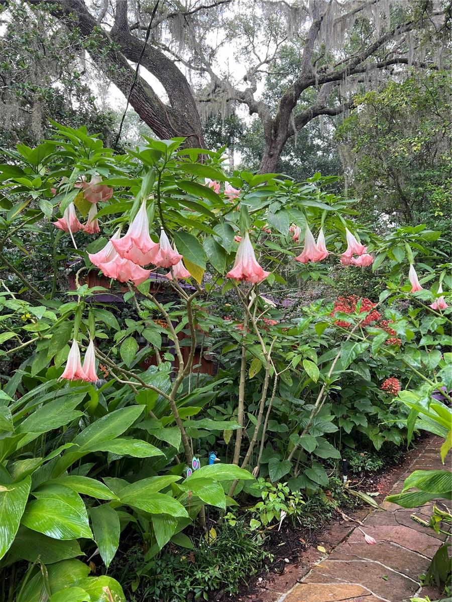 250 W WEST LAKE DR, HAWTHORNE, FL, 32640