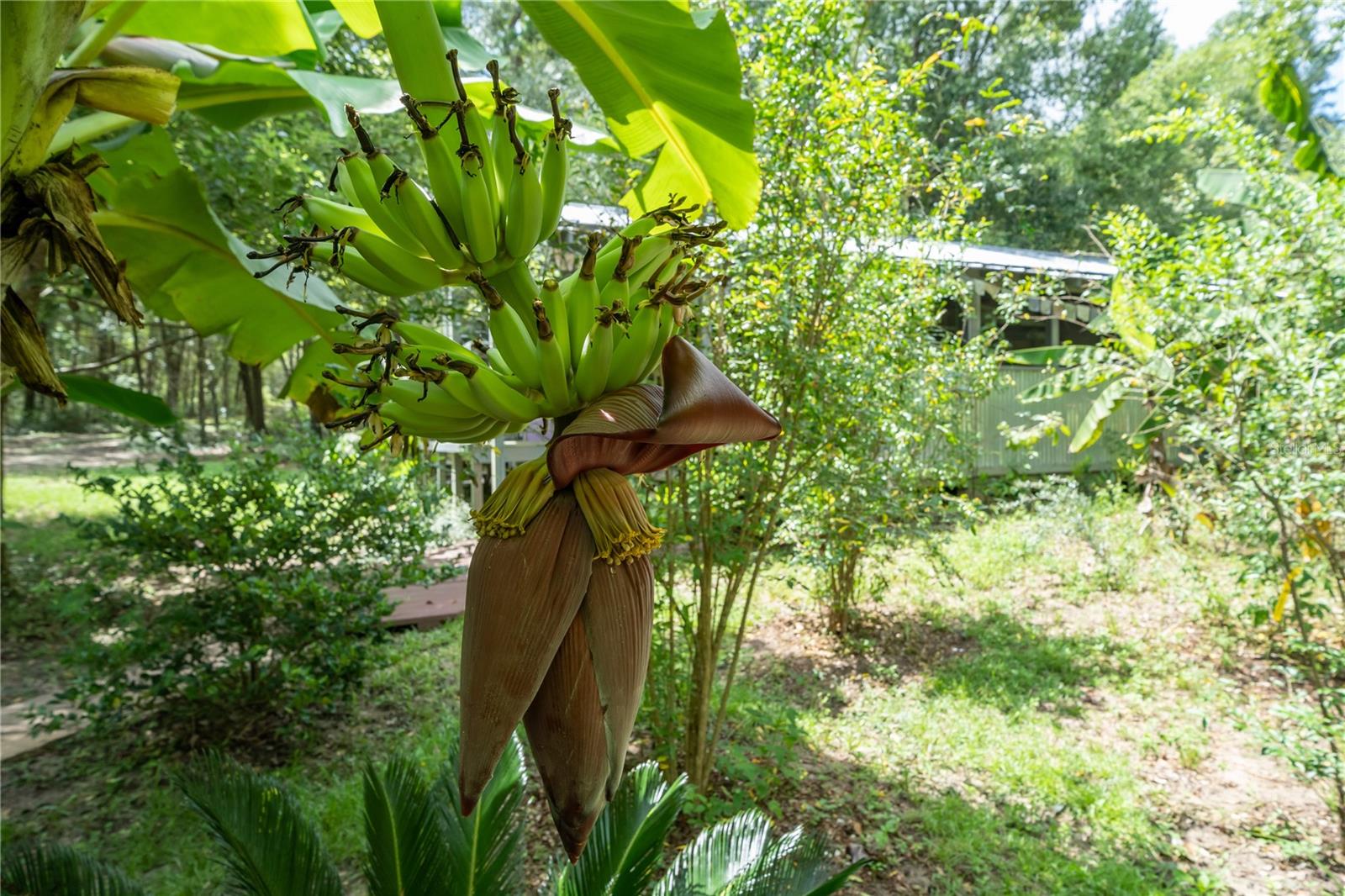 250 W WEST LAKE DR, HAWTHORNE, FL, 32640