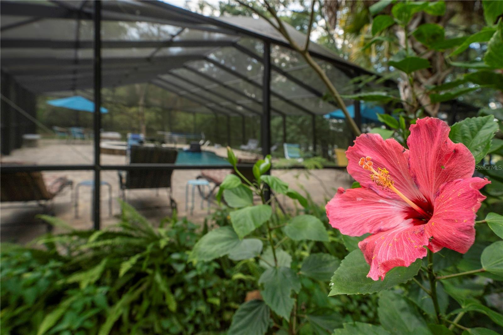 250 W WEST LAKE DR, HAWTHORNE, FL, 32640