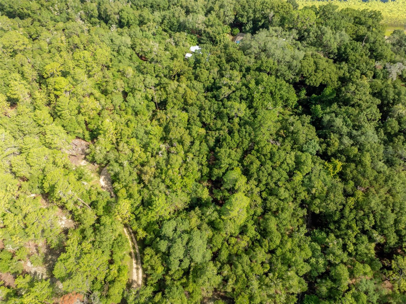 250 W WEST LAKE DR, HAWTHORNE, FL, 32640