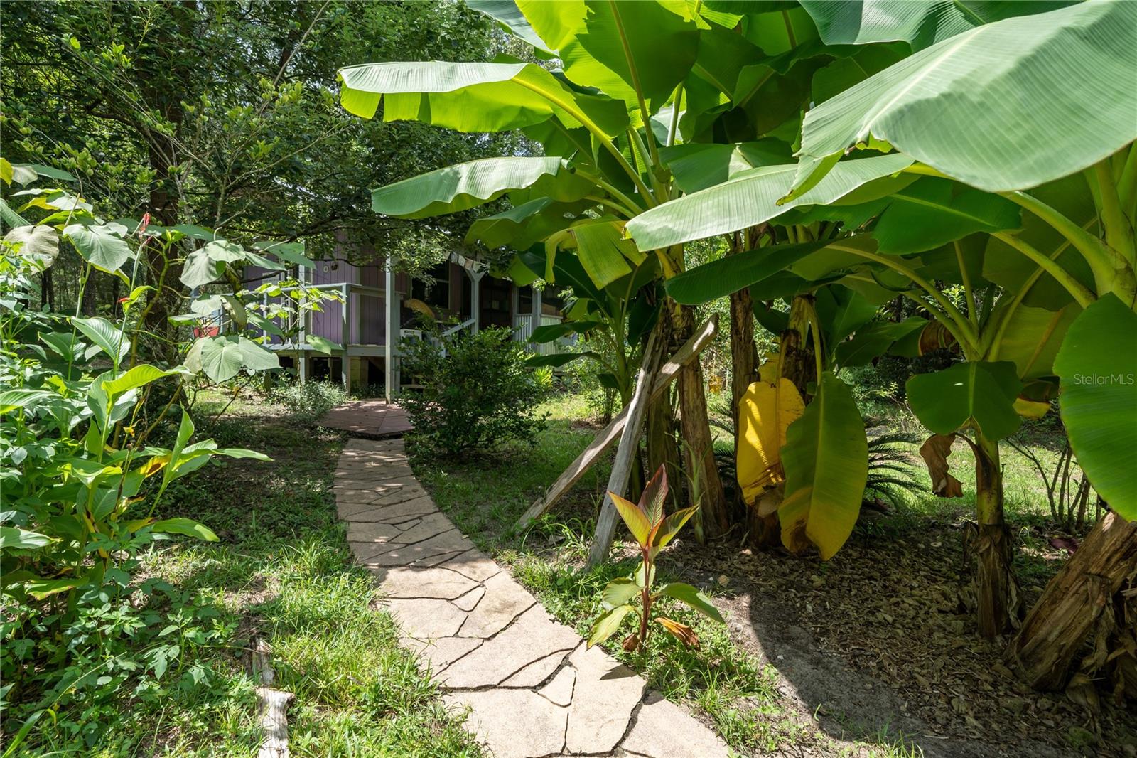 250 W WEST LAKE DR, HAWTHORNE, FL, 32640