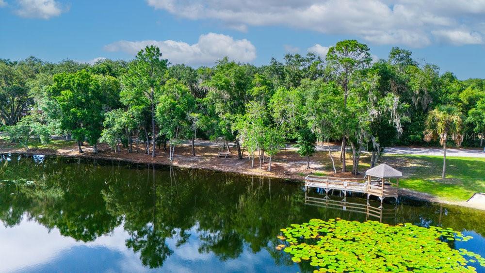 607 BROOKLINE AVE, EUSTIS, FL, 32726