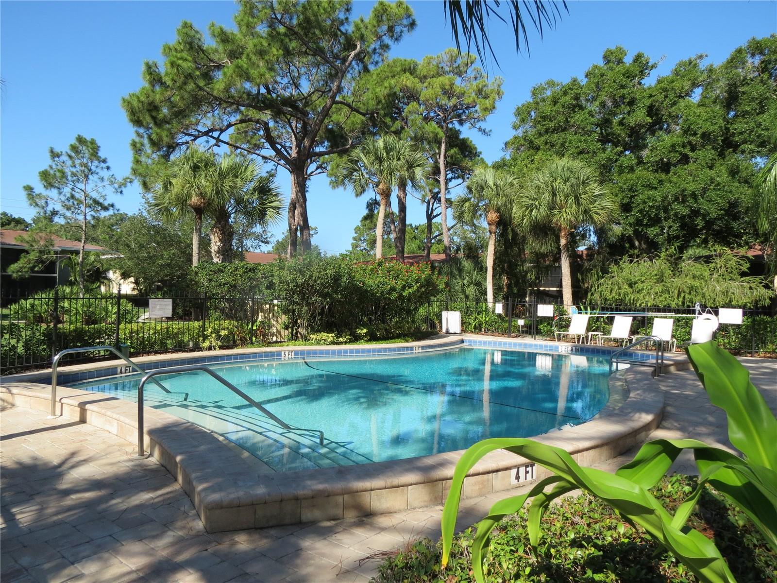 972 LA COSTA CIR #6, SARASOTA, FL, 34237