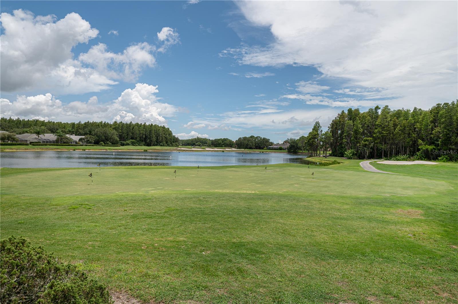 6120 CEZANNE AVE, LUTZ, FL, 33558