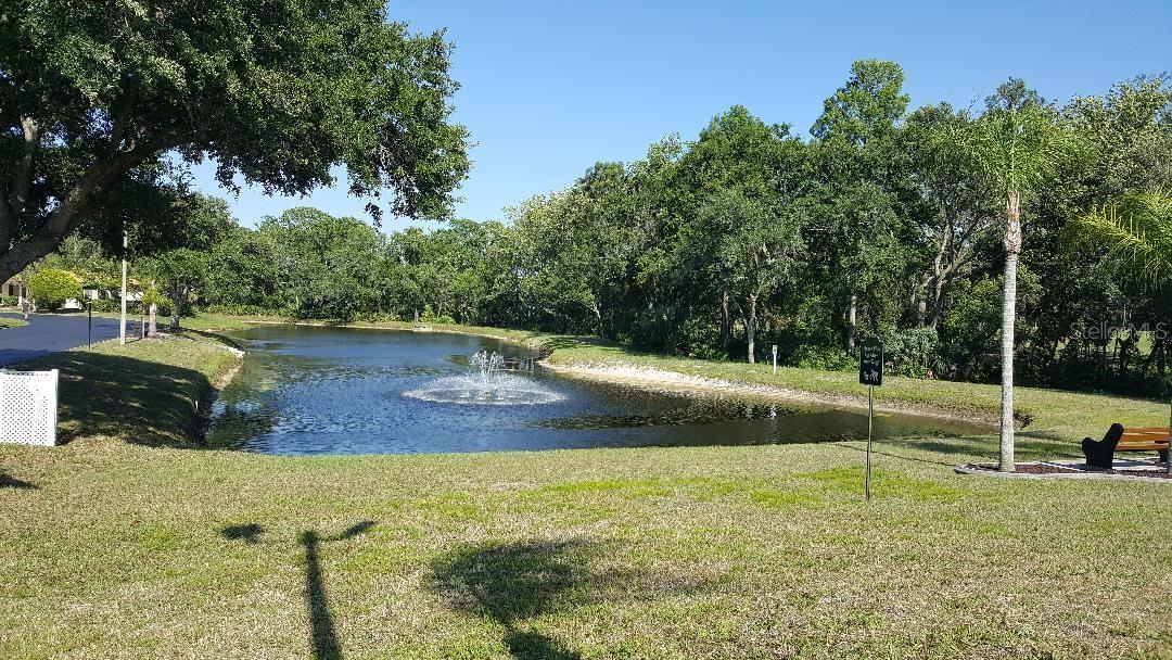 4135 LA PASIDA LN, NEW PORT RICHEY, FL, 34655
