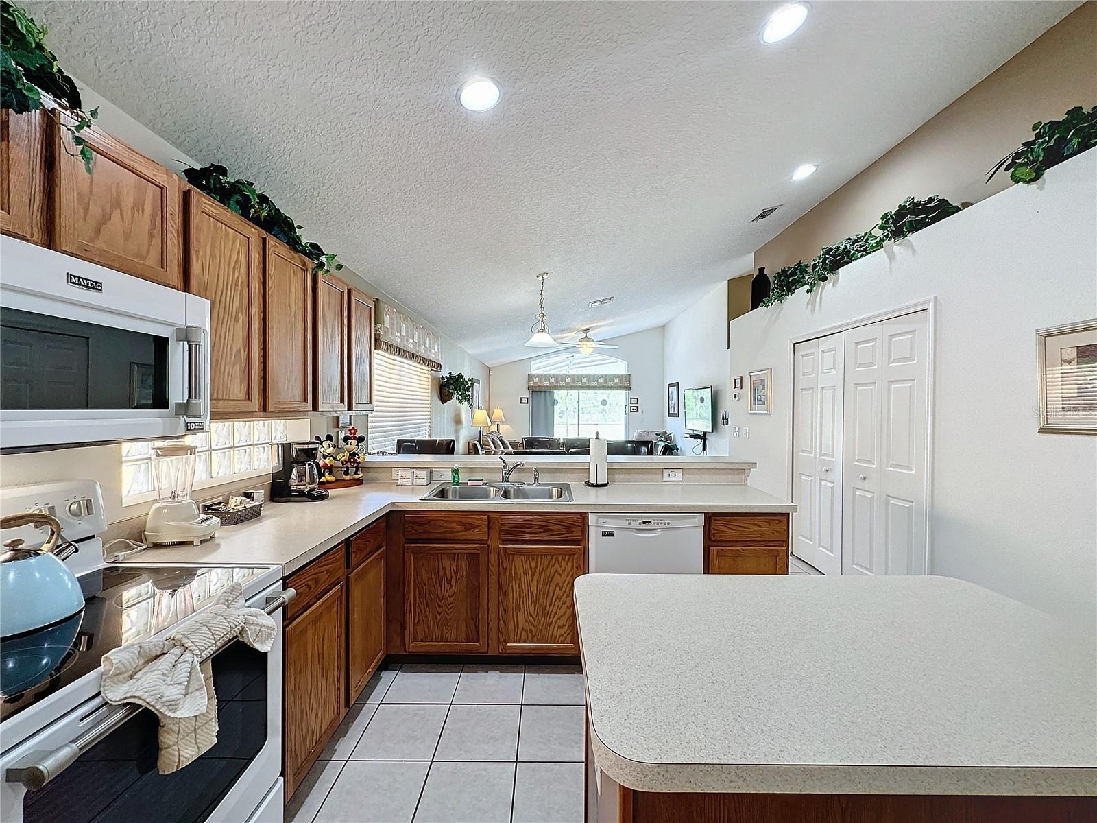 1058 ORANGE COSMOS BLVD, DAVENPORT, FL, 33837