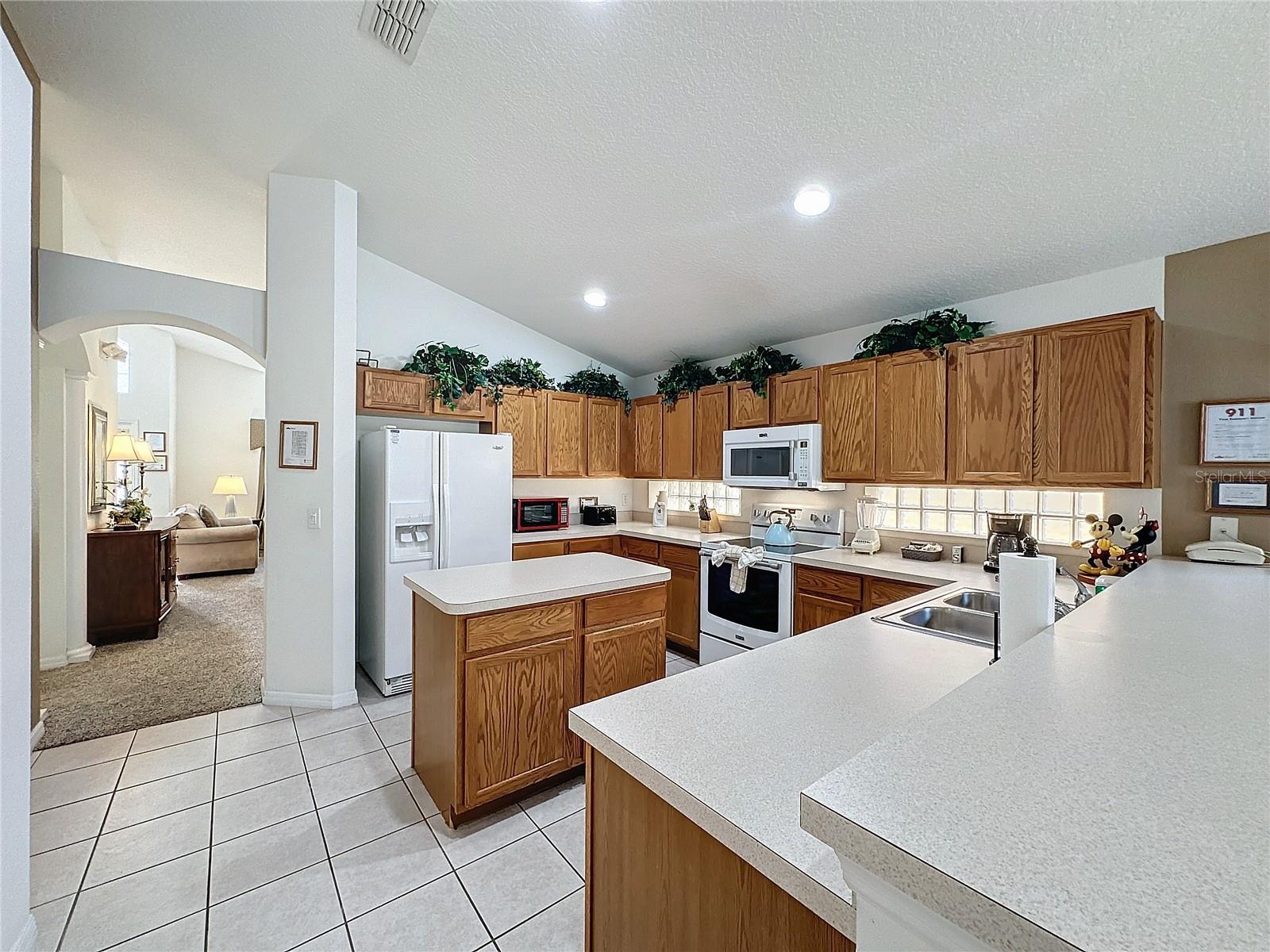 1058 ORANGE COSMOS BLVD, DAVENPORT, FL, 33837