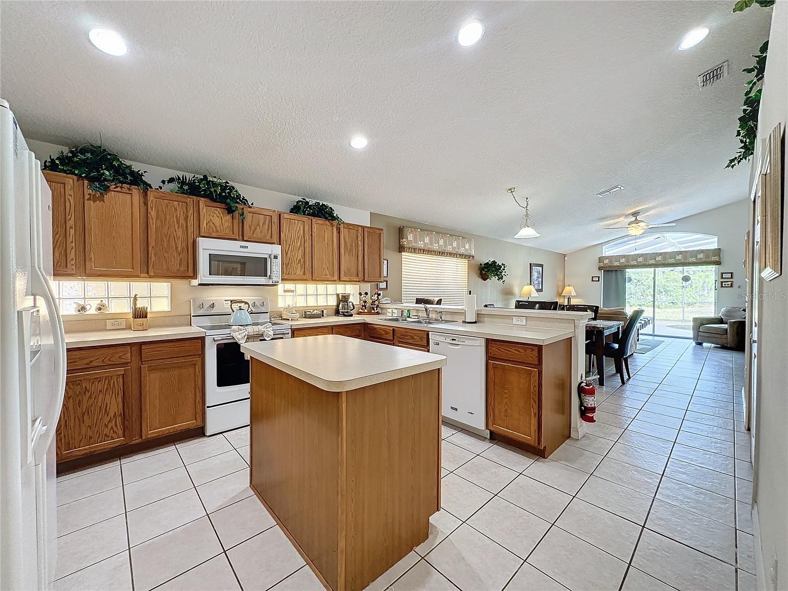 1058 ORANGE COSMOS BLVD, DAVENPORT, FL, 33837