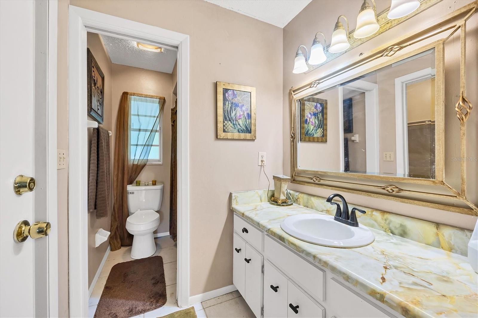 1087 W BAFFIN DR, VENICE, FL, 34293