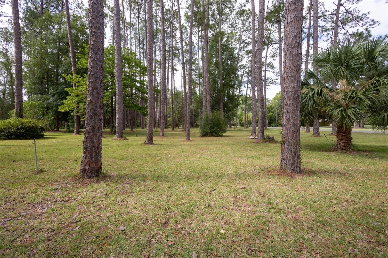 103 SW 10TH ST, CHIEFLAND, FL, 32626