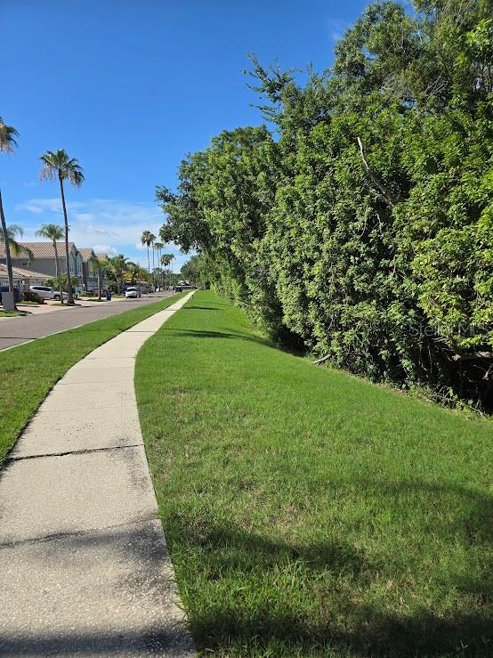 BOOT RANCH - EAGLE WATCH, PALM HARBOR, FL, 34685