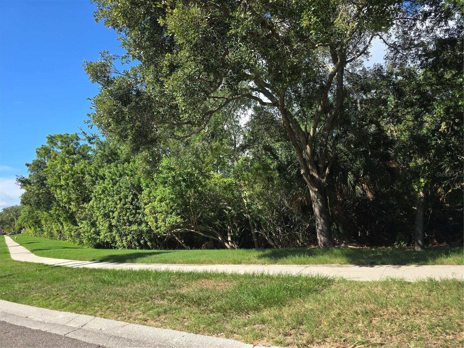 BOOT RANCH - EAGLE WATCH, PALM HARBOR, FL, 34685